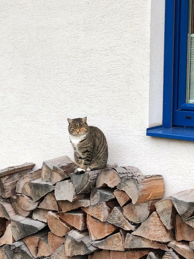 Haus Sonnenweg Villa Mariapfarr Buitenkant foto
